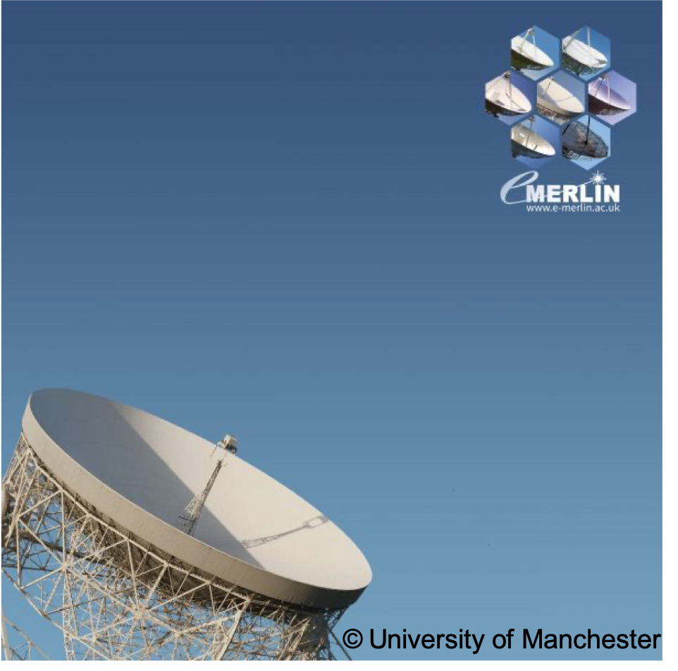 Image: University of Manchester